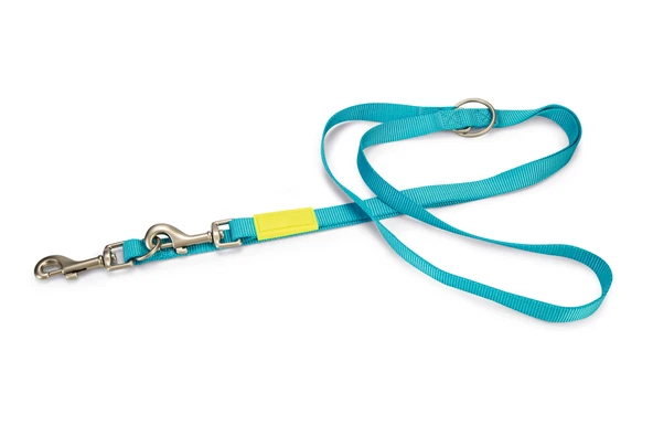 Beeztees Köpek Gezdirme Kayışı, Turkuaz, 200cm, 20mm ürün görseli