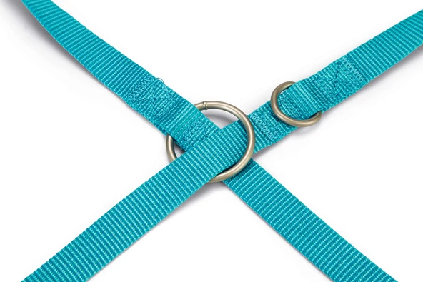 Beeztees Köpek Gezdirme Kayışı, Turkuaz, 200cm, 20mm - Resim 3