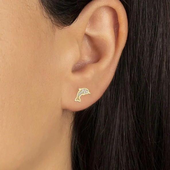 Vaoov 925 Ayar Gümüş Minimal Yunus Balığı Küpe - Resim 3