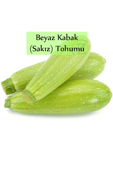 6 Paket Tohum No3 Kabak Tohumu Patlıcan Tohumu Demre Biber Tohumu Alman Hıyarı Tohumu ... - Resim 7