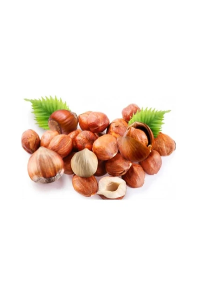 TALAS Kuruyemiş Çiğ Fındık İçi 2 KG