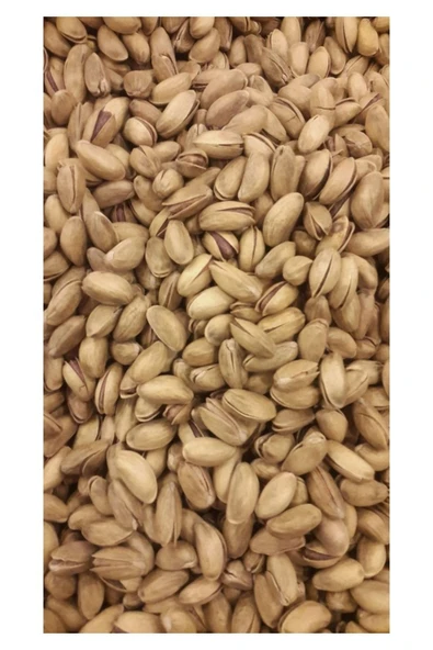 TALAS Kuruyemiş Orta Boy Antep Fıstığı 2 KG