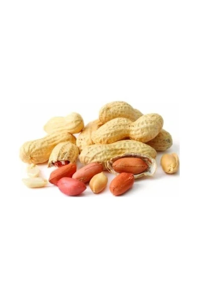 TALAS Kuruyemiş Kavrulmuş Kabuklu Yer Fıstığı 1 KG