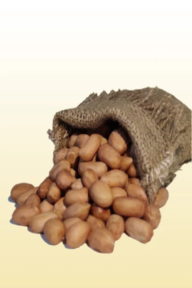 TUZLUM Kuruyemiş Çiğ Yer Fıstığı İçi 500 G