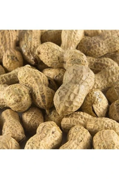 TALAS Kuruyemiş Çiğ Kabuklu Yer Fıstığı 500 G