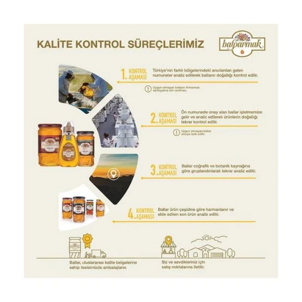 Balparmak Yayla ve Ova Doğal Çiçek Balı 2 Kg - 3