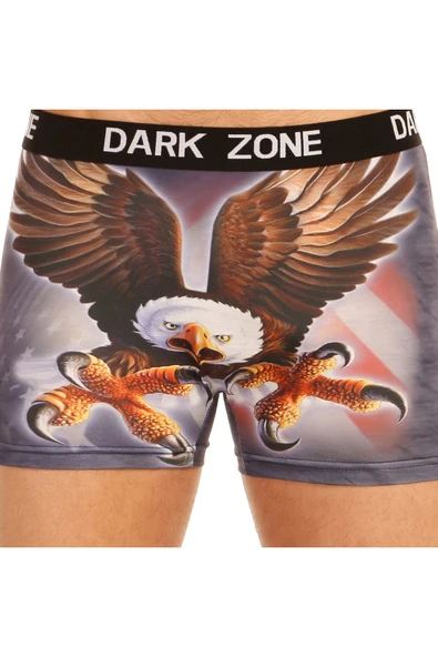 Kartal Desenli Erkek 3d Baskılı Boxer 1013