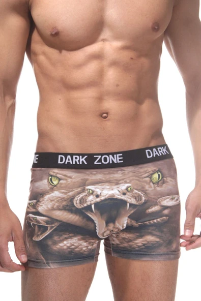 Erkek Desenli 3d Boxer 1002