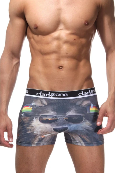 Komik Köpek  Desenli Erkek 3d Boxer 1091 ürün görseli