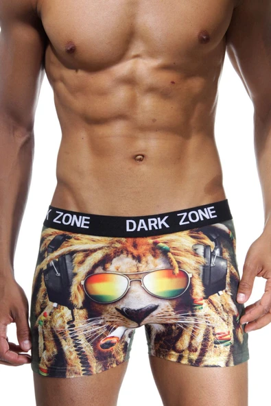 Komik Aslan Desenli Erkek 3d Boxer 1081