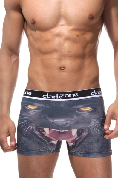 Vahşi Kurt Desenli Erkek 3d Baskılı Boxer 1095