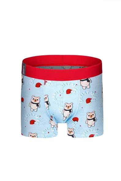 Erkek Dijital Baskılı Ayıcık Desenli Yılbaşı Boxer 0004 ürün görseli