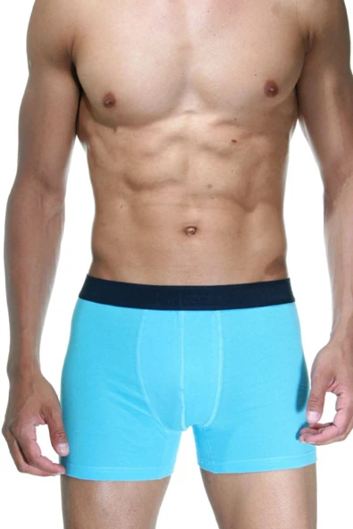 Erkek Mavi Klasik Boxer 2105