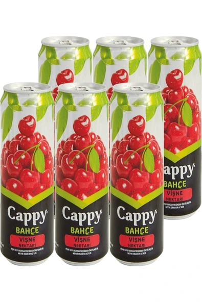 Vişneli Içecek Teneke Kutu 6x330 ml