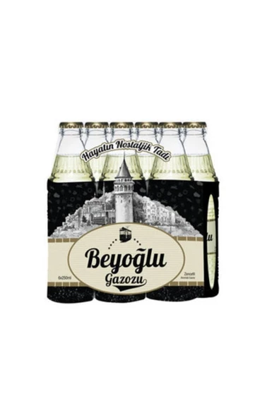 Gazoz Zencefil 24x250 ml