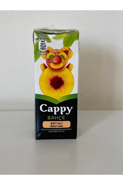 Tetra Şeftali 200 Ml *27 Adet