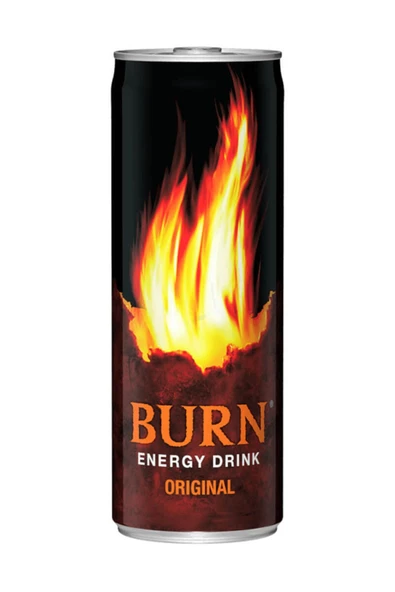 Enerji İçeceği 250 ml