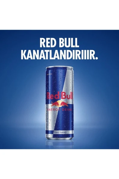 Enerji Içeceği 12 X 250ml - 3