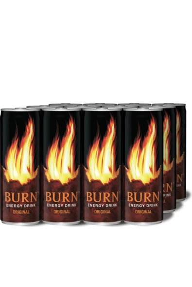 Enerji Içeceği 250 ml 12 Adet