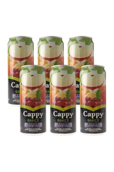 Bahçe Karışık Nektarı Meyve Suyu 330ml - 6 Adet