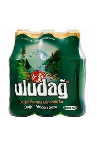 Maden Suyu 200 ml 6'lı