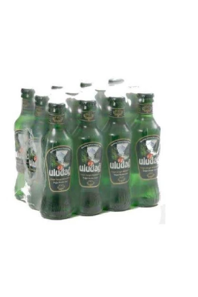 Soda 12'li 200 ml