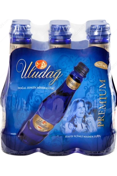 Premium Maden Suyu 6 X 250 ml