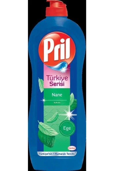 Pril Elde Yıkama Sıvı Bulaşık Deterjanı 4 x 675g Türkiye Serisi (Portakal + Elma + Nane + Limon) - Resim 5