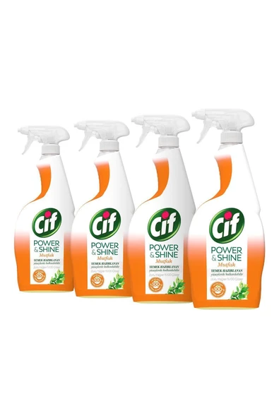 Power & Shine Mutfak Sprey 750 ml - 4'lü Paket - Resim 3