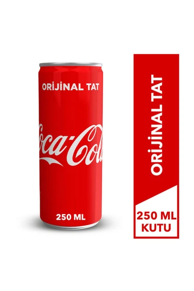 Coca-Cola 250 ml Kutu ürün görseli 1