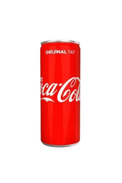 Coca Cola Kutu 250 ml ( 24 Adet )