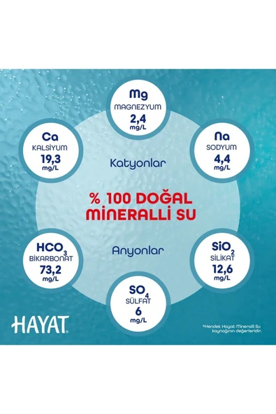 Bebe Suyu 6'lı Pet Şişe 330 ml - 5