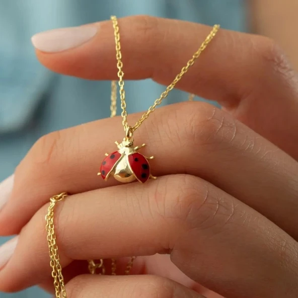 Vaoov 925 Ayar Gümüş Mineli Uğurböceği Kolye ürün görseli