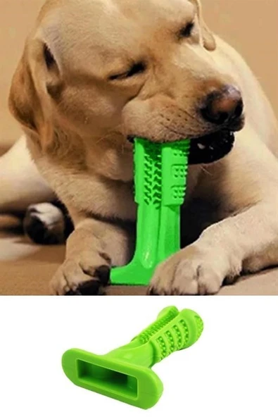 Derin Stok® Köpek Diş Temizleyici ve Kaşıyıcı Sağlıklı Küçük Boy Oyuncak - 10