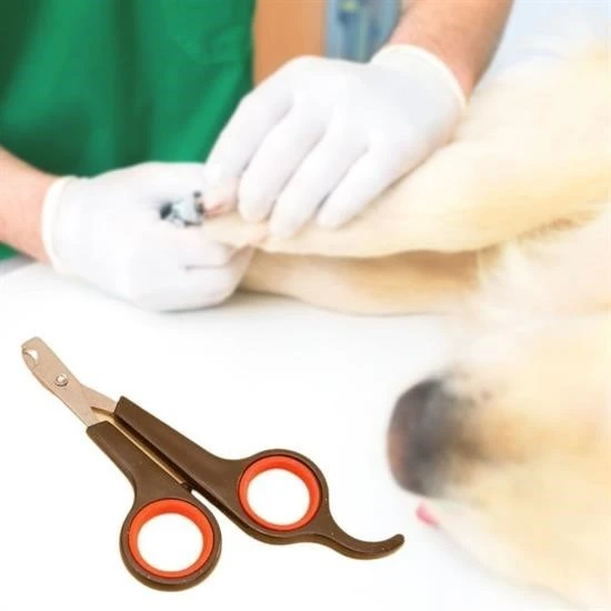 Derin Stok Küçük Çelik Uçlu Kedi Köpek Evcil Hayvan Tırnak Makası Pati Bakım Aleti Ergonomik Kaymaz Sap