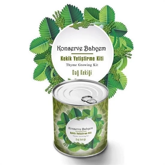 Derin Stok® Konserve Bahçem Evde Konservede Kekik Dağ Kekiği Yetiştirme Kiti
