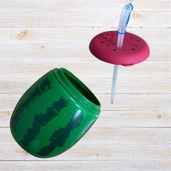 Derin Stok® Karpuz Model Kendiliğinden Pipetli 900 ml Suluk, Matara - 5