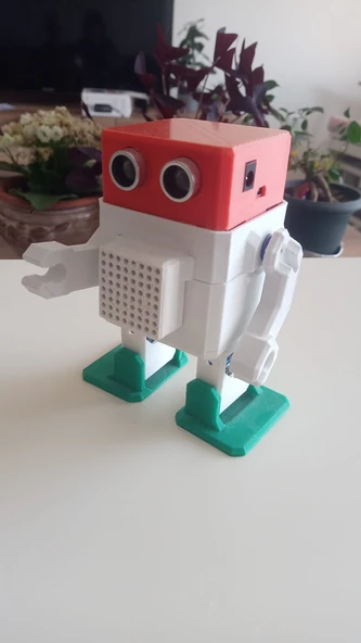 Kollu Otto Robot Kiti - 2