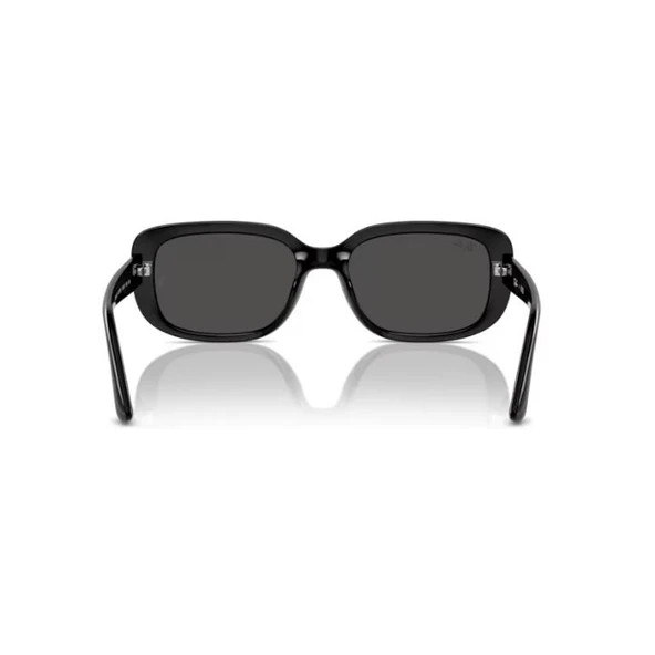 Ray-Ban 0RB4421D 66778756 Enjeksiyon Unısex Güneş Gözlüğü - 6