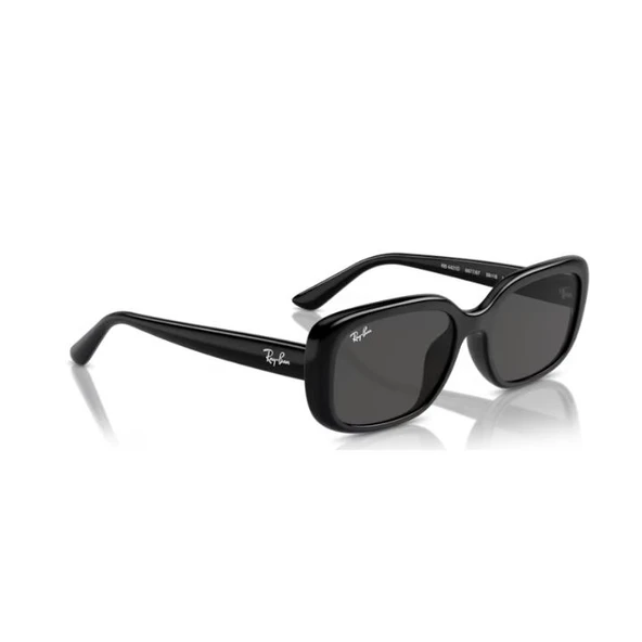 Ray-Ban 0RB4421D 66778756 Enjeksiyon Unısex Güneş Gözlüğü - 5