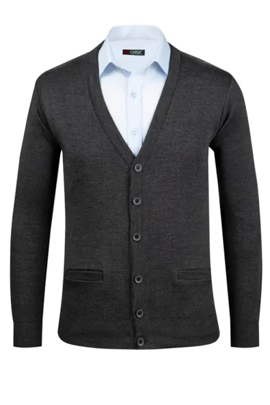 Erkek V Yaka Triko Hırka Düğmeli 4241M BGL-ST04560 - Resim 2