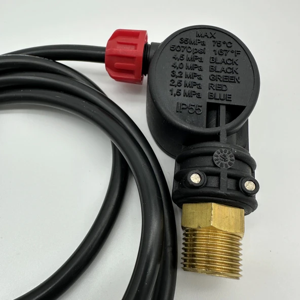 Tetikli Tabanca Basınç Switch Ps2 - 1/4 - 6