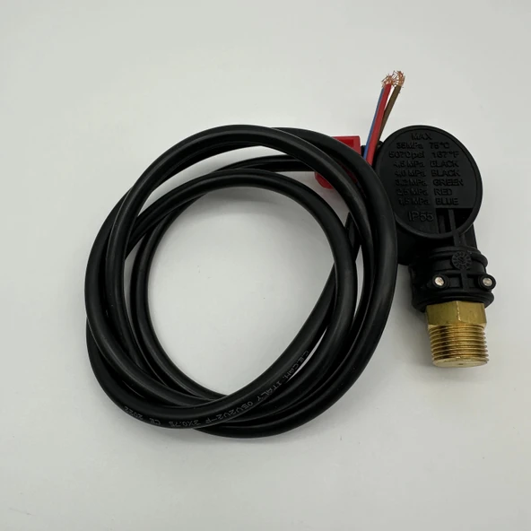 Tetikli Tabanca Basınç Switch Ps2 - 3/8 - 3
