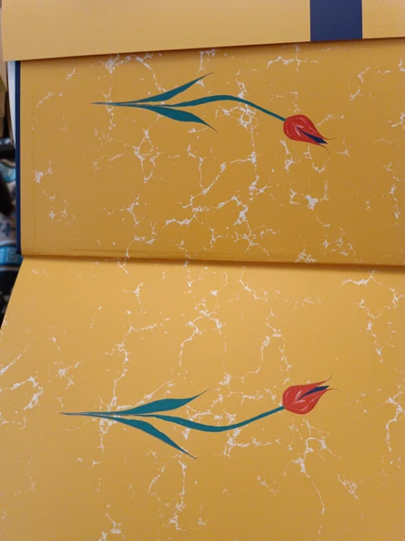 ŞECA'ATNAME - ÖZDEMİROĞLU OSMAN PAŞA'NIN ŞARK SEFERLERİ (OSMANLICA TIPKI BASIM) Ciltli ,Şömizli Prestij baskı - 2