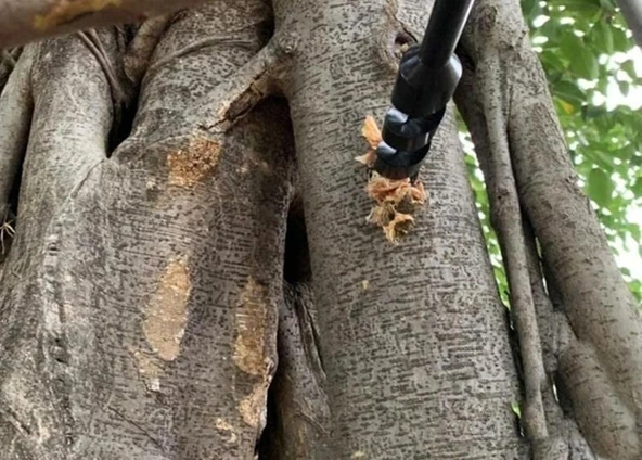 Bushcraft Ahşap Burgu Matkabı ( El Burgusu ) - 3