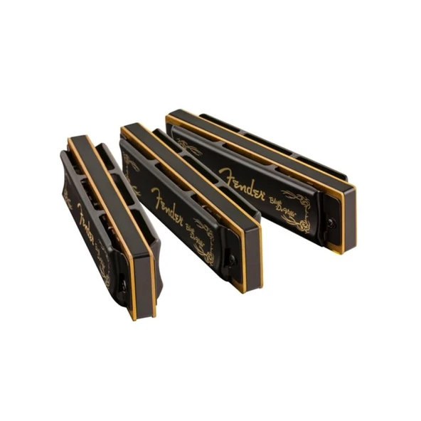 Fender Blues DeVille 3 Adet Çantalı C G A Mızıka Seti - Resim 4