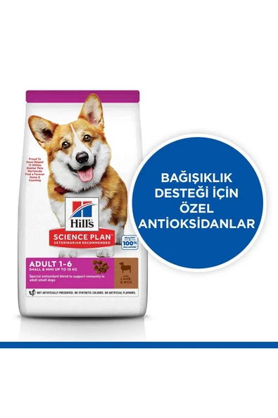 Küçük Pati Hills Kuzu Ve Pirinçli Küçük Ve Mini Irk Yetişkin Köpek Maması 1,5 Kg