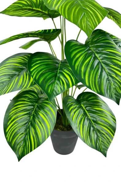 Nettenevime Yapay Çiçek Difenbahya Tropik Sarı Çizgili Salon Çiçeği Siyah Saksılı Yapay Bitki - Resim 6