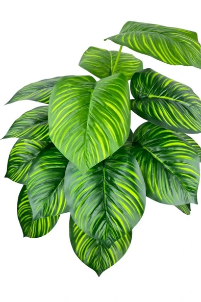 Nettenevime Yapay Çiçek Difenbahya Tropik Sarı Çizgili Salon Çiçeği Siyah Saksılı Yapay Bitki - Resim 7