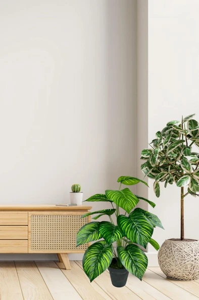 Nettenevime Yapay Çiçek Difenbahya Tropik Sarı Çizgili Salon Çiçeği Siyah Saksılı Yapay Bitki - Resim 3